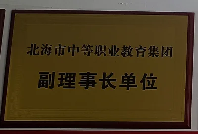 北海六禾电子副理事长单位荣誉牌匾
