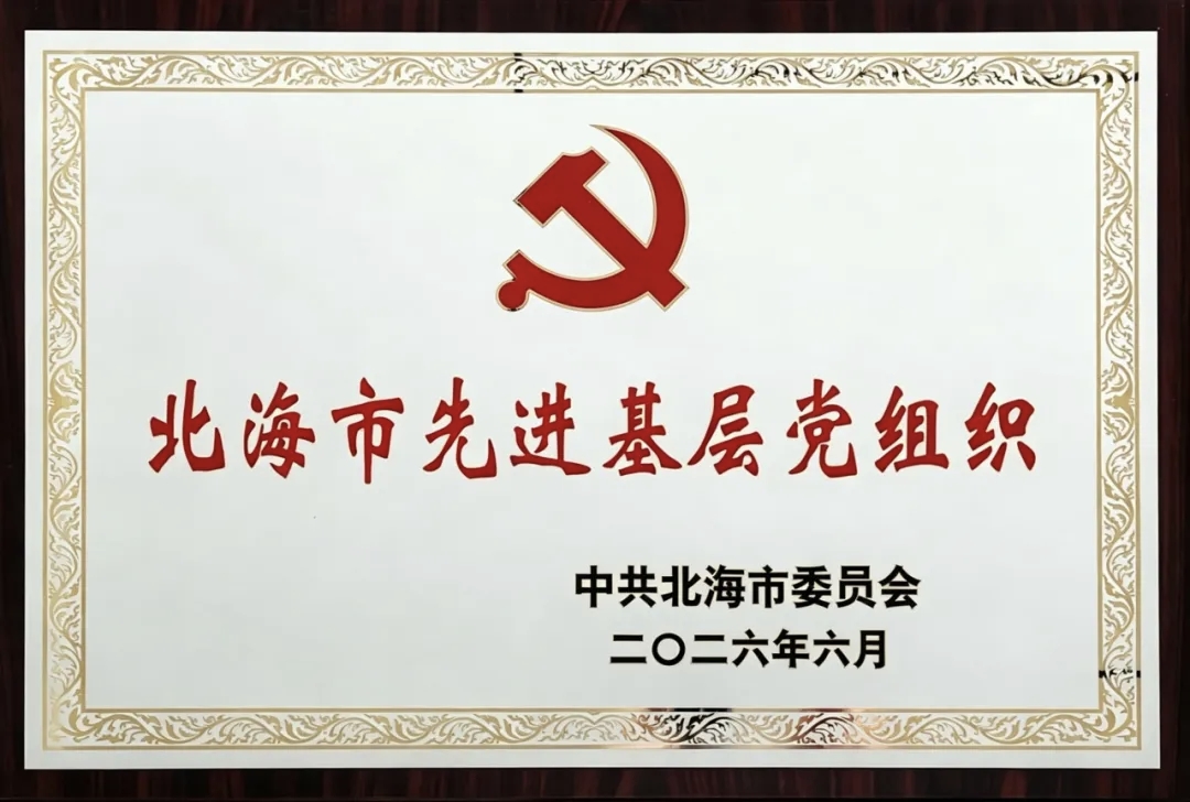 党建引领|北海六禾电子有限公司党支部获评“北海市先进基层党组织”