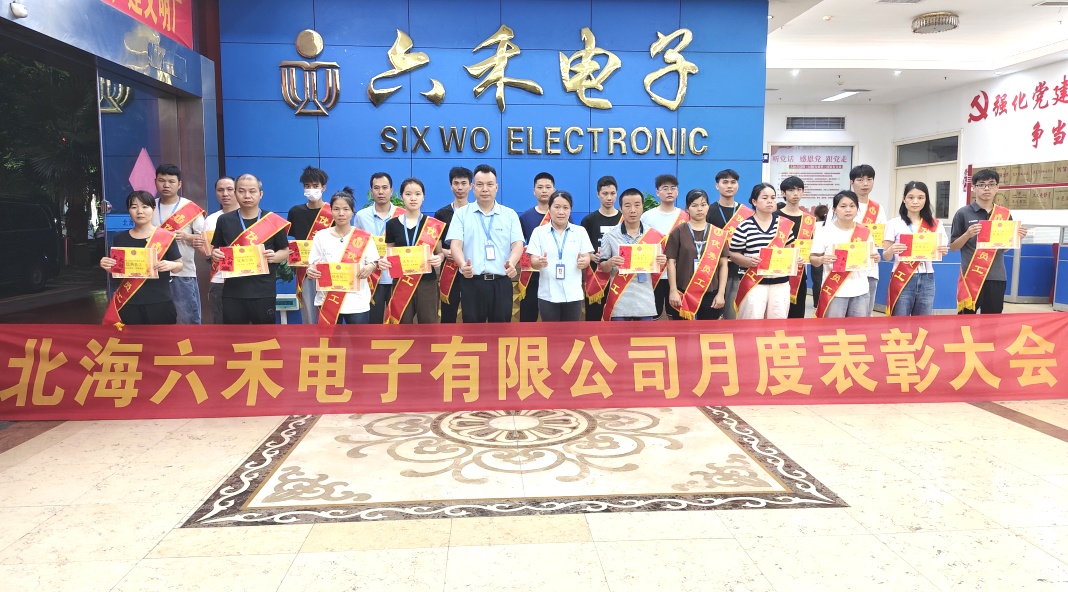 以实干发光|致敬六禾电子月度优秀员工