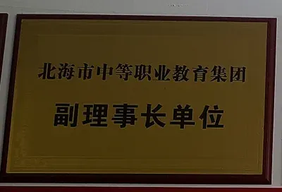 北海六禾电子副理事长单位荣誉牌匾